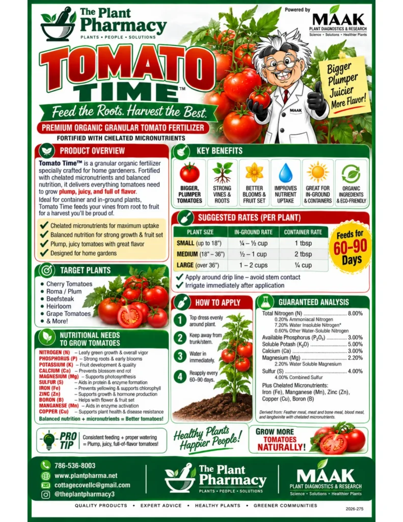 Tomato Time
